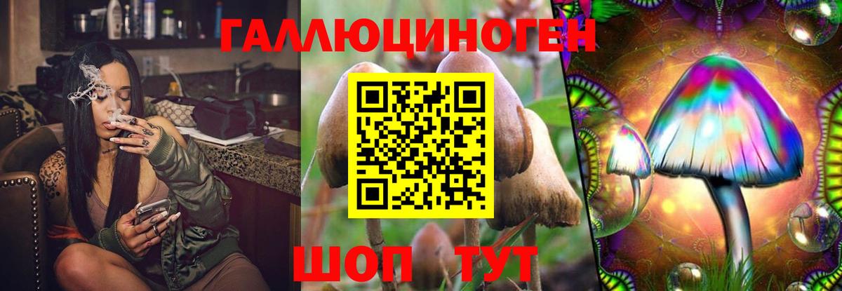 Галлюциногенные грибы MAGIC MUSHROOMS  Галлюциногенные грибы Psilocybe  Вход с VPN  Партизанск 
